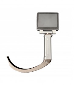 ������Ƶ����